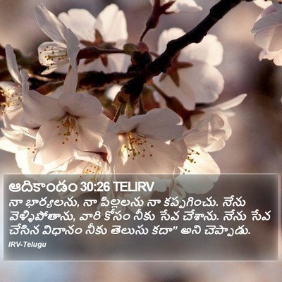 ఆదికాండం 30:26 TELIRV Bible Verse Image