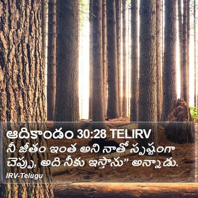 ఆదికాండం 30:28 TELIRV Bible Verse Image