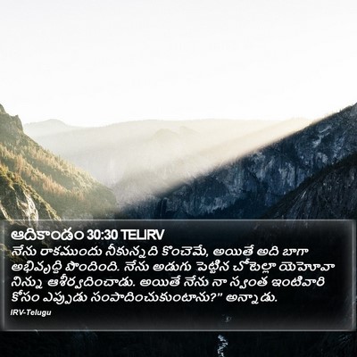 ఆదికాండం 30:30 TELIRV Bible Verse Image