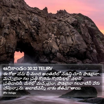 ఆదికాండం 30:32 TELIRV Bible Verse Image