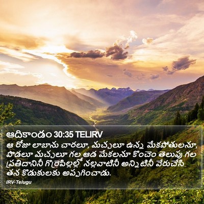 ఆదికాండం 30:35 TELIRV Bible Verse Image