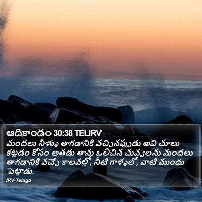 ఆదికాండం 30:38 TELIRV Bible Verse Image