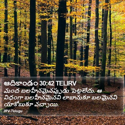 ఆదికాండం 30:42 TELIRV Bible Verse Image