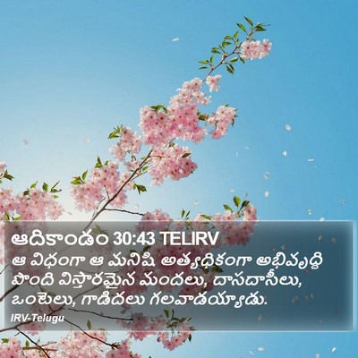 ఆదికాండం 30:43 TELIRV Bible Verse Image