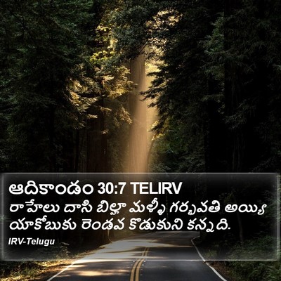 ఆదికాండం 30:7 TELIRV Bible Verse Image