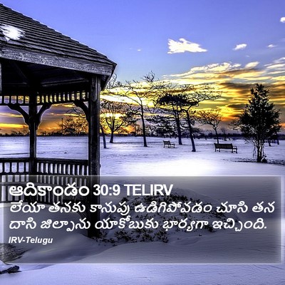 ఆదికాండం 30:9 TELIRV Bible Verse Image