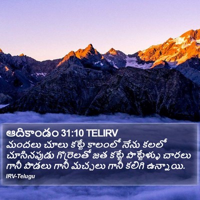 ఆదికాండం 31:10 TELIRV Bible Verse Image