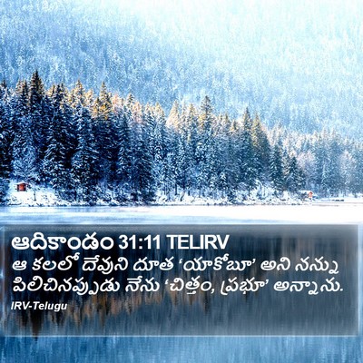 ఆదికాండం 31:11 TELIRV Bible Verse Image