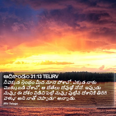 ఆదికాండం 31:13 TELIRV Bible Verse Image