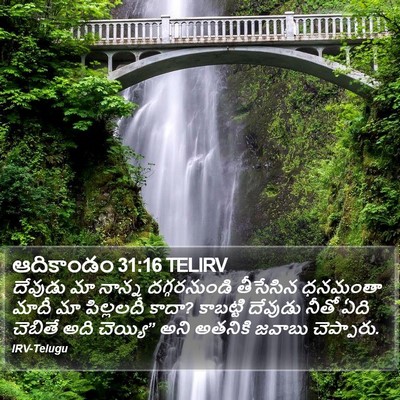 ఆదికాండం 31:16 TELIRV Bible Verse Image