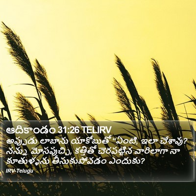 ఆదికాండం 31:26 TELIRV Bible Verse Image