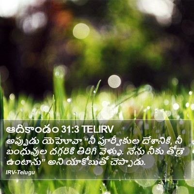 ఆదికాండం 31:3 TELIRV Bible Verse Image