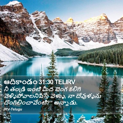 ఆదికాండం 31:30 TELIRV Bible Verse Image