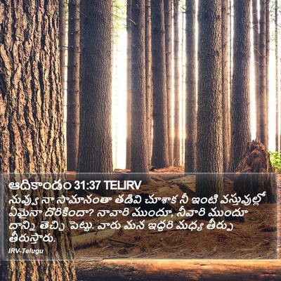 ఆదికాండం 31:37 TELIRV Bible Verse Image