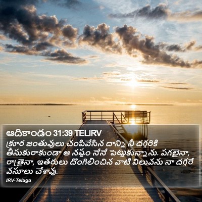 ఆదికాండం 31:39 TELIRV Bible Verse Image