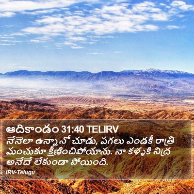 ఆదికాండం 31:40 TELIRV Bible Verse Image