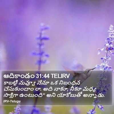 ఆదికాండం 31:44 TELIRV Bible Verse Image