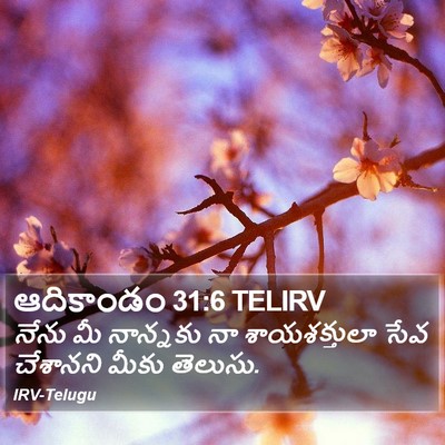 ఆదికాండం 31:6 TELIRV Bible Verse Image
