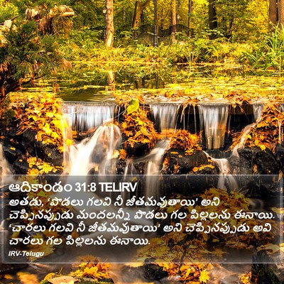 ఆదికాండం 31:8 TELIRV Bible Verse Image