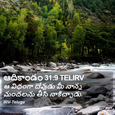 ఆదికాండం 31:9 TELIRV Bible Verse Image