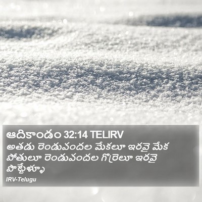 ఆదికాండం 32:14 TELIRV Bible Verse Image