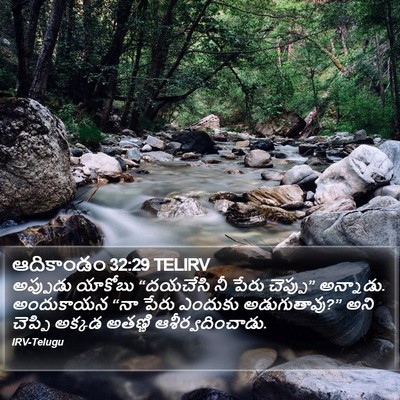 ఆదికాండం 32:29 TELIRV Bible Verse Image