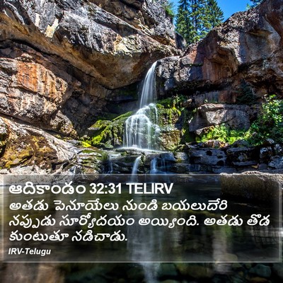 ఆదికాండం 32:31 TELIRV Bible Verse Image
