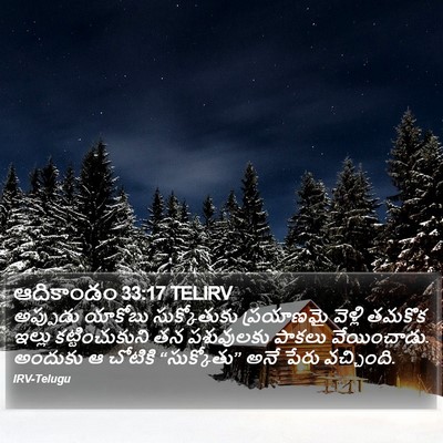 ఆదికాండం 33:17 TELIRV Bible Verse Image