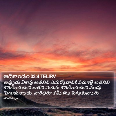 ఆదికాండం 33:4 TELIRV Bible Verse Image