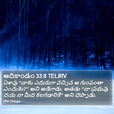 ఆదికాండం 33:8 TELIRV Bible Verse Image