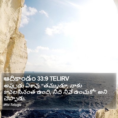 ఆదికాండం 33:9 TELIRV Bible Verse Image