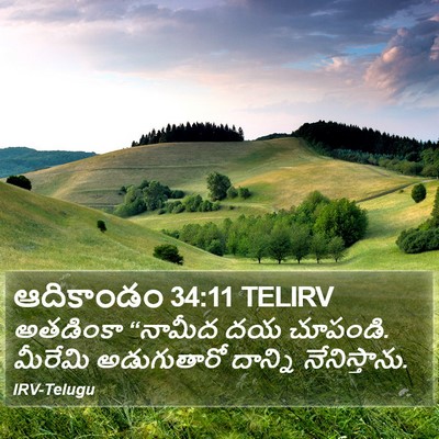 ఆదికాండం 34:11 TELIRV Bible Verse Image