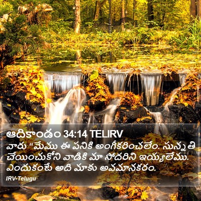 ఆదికాండం 34:14 TELIRV Bible Verse Image