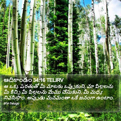 ఆదికాండం 34:16 TELIRV Bible Verse Image