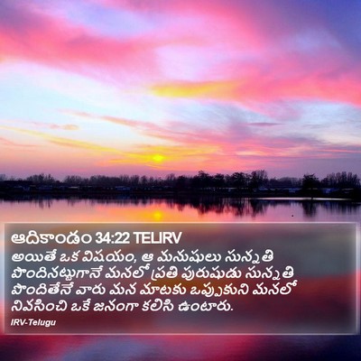 ఆదికాండం 34:22 TELIRV Bible Verse Image