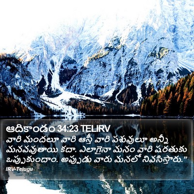ఆదికాండం 34:23 TELIRV Bible Verse Image