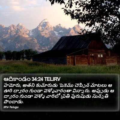 ఆదికాండం 34:24 TELIRV Bible Verse Image