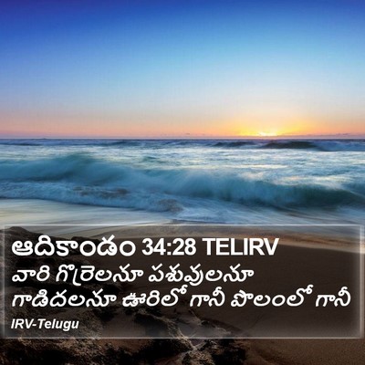 ఆదికాండం 34:28 TELIRV Bible Verse Image