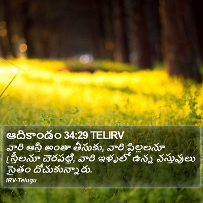 ఆదికాండం 34:29 TELIRV Bible Verse Image
