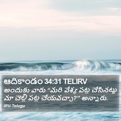 ఆదికాండం 34:31 TELIRV Bible Verse Image