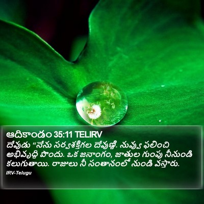 ఆదికాండం 35:11 TELIRV Bible Verse Image