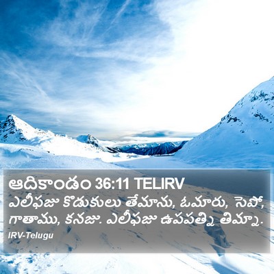 ఆదికాండం 36:11 TELIRV Bible Verse Image