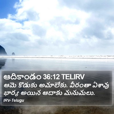 ఆదికాండం 36:12 TELIRV Bible Verse Image