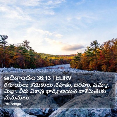 ఆదికాండం 36:13 TELIRV Bible Verse Image
