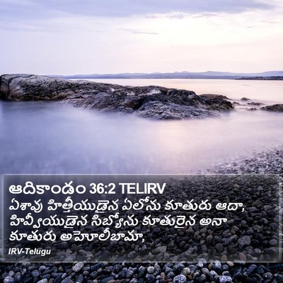 ఆదికాండం 36:2 TELIRV Bible Verse Image