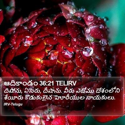 ఆదికాండం 36:21 TELIRV Bible Verse Image