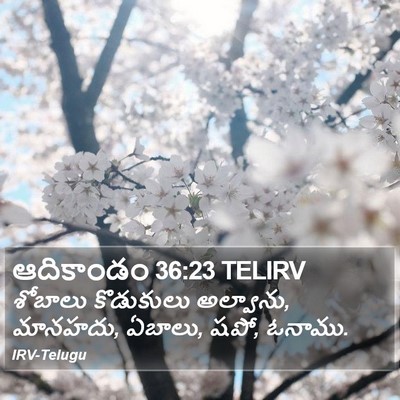 ఆదికాండం 36:23 TELIRV Bible Verse Image