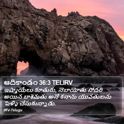 ఆదికాండం 36:3 TELIRV Bible Verse Image
