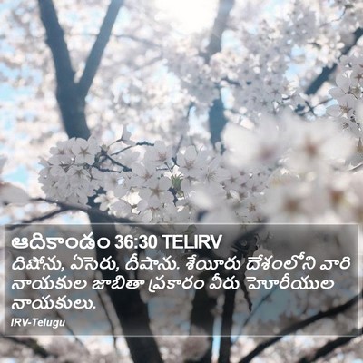ఆదికాండం 36:30 TELIRV Bible Verse Image