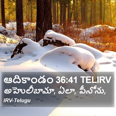ఆదికాండం 36:41 TELIRV Bible Verse Image